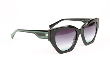 Ana Hickmann Sunglasses HI9221 E01 53