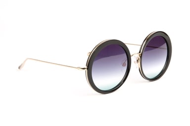 Ana Hickmann Sunglasses HI3194 A01 54