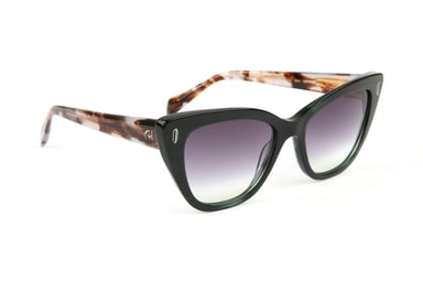 Ana Hickmann Sunglasses AH9437 E01 53