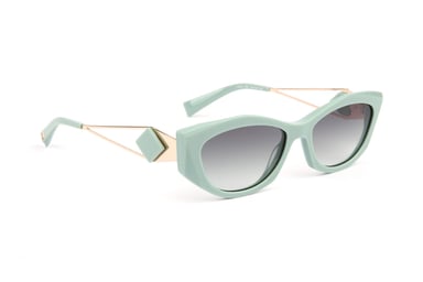 Ana Hickmann Sunglasses HI9217 D01 55