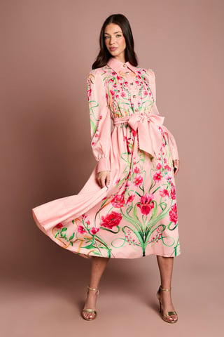 Boarder Print Organza Shirt Dress