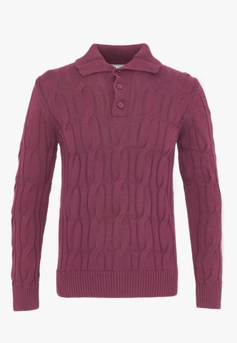 Pullover Pullover With Polo Collar