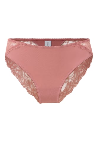 Lingadore Brief