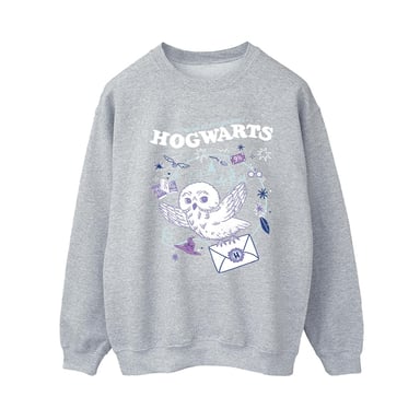 Harry Potter Womens/Ladies Owl Letter From Hogwarts Sweatshirt (Sports Grey)