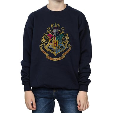 Harry Potter Boys Hogwarts Houses Cotton Sweatshirt (Navy Blue)
