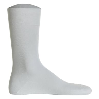 Hudson Socks