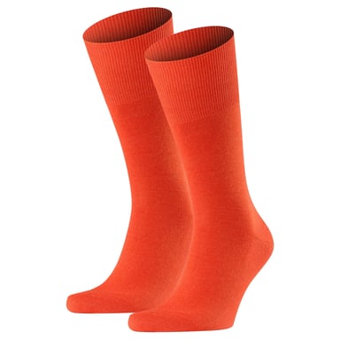 Falke Socks