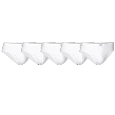 Jbs Brief