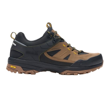 Regatta Mens Regen Low Walking Boots (Nut Brown/Gold Flake)
