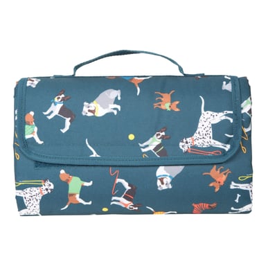 Mountain Warehouse Patterned Picnic Blanket (Blue)