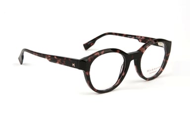Ana Hickmann Optical Frame HI6267 G21 48