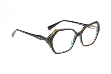 Ana Hickmann Optical Frame HI6316 H01 53