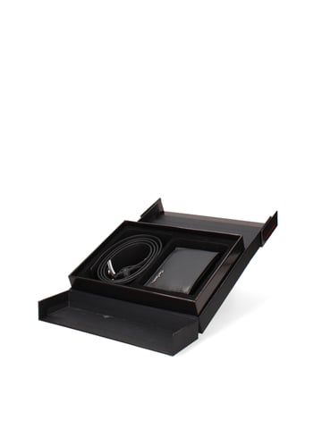 Pierre Cardin Wallet and belt set Men