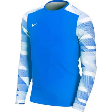 Nike Childrens/Kids Park IV Dri-FIT Long-Sleeved Goalkeeper Jersey (Blue)
