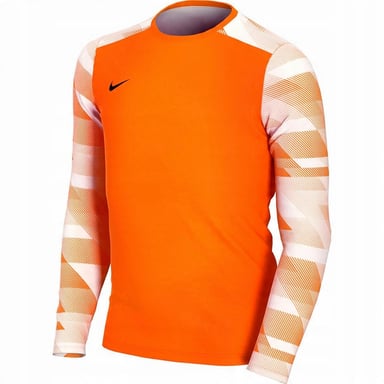 Nike Childrens/Kids Park IV Dri-FIT Long-Sleeved Goalkeeper Jersey (Orange)