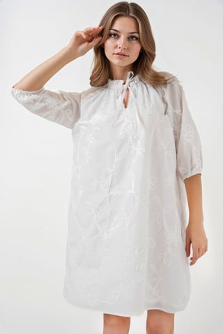 Embroidered Lace Mini Dress with Tie Closure