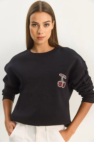 Embroidered Crew Neck Sweatshirt