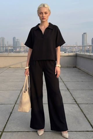 V-Neck Short Sleeve Blouse & Wide Leg Pants Two-Piece Set