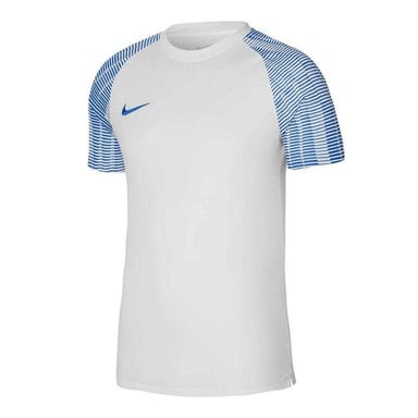 Nike Mens Academy Dri-FIT Jersey (White/Blue)