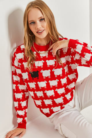 Patterned Thick Knit Crew Neck Sweater