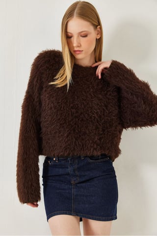 Textured Crew Neck Crop Sweater with Plush Detail
