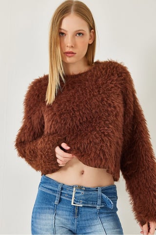 Textured Crew Neck Crop Sweater with Plush Detail
