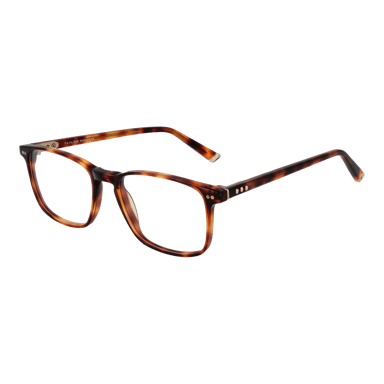 Taylor Morris Optical Frame SW16 C2 52