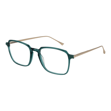 Taylor Morris Glasögonbåge SW3 C6 53