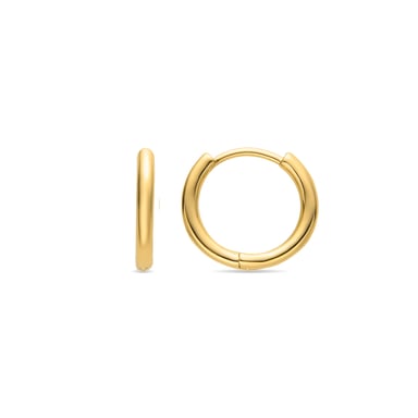 Luxenter 18K gold finish earrings - Viaga