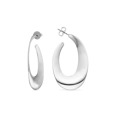 Luxenter earrings silver finish - Saifga
