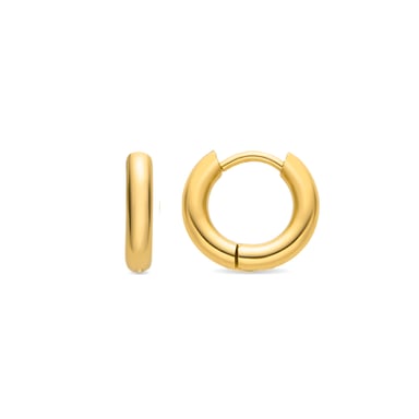 Luxenter 18K gold finish earrings - Bradwa