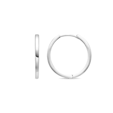 Luxenter earrings with - silver finish - Umsy