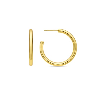 Luxenter 18k gold finish earrings - Hudak