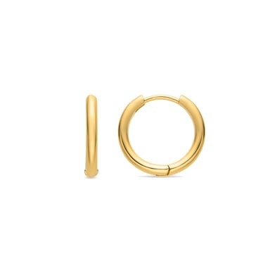 Luxenter 18K gold finish earrings - Nias