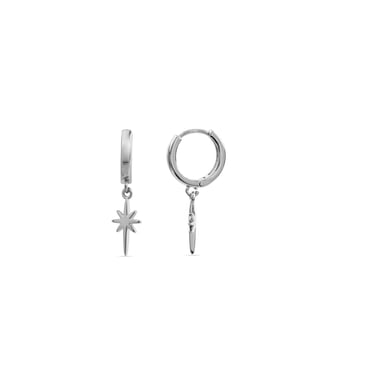 Luxenter rodiumpläterade örhängen med briljanta cubic zirconia - Mandrake
