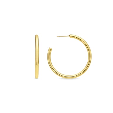 Luxenter 18k gold finish earrings - Polur
