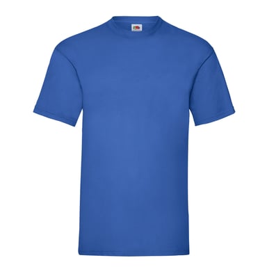 Fruit Of The Loom Mens Valueweight T-Shirt (Royal Blue)