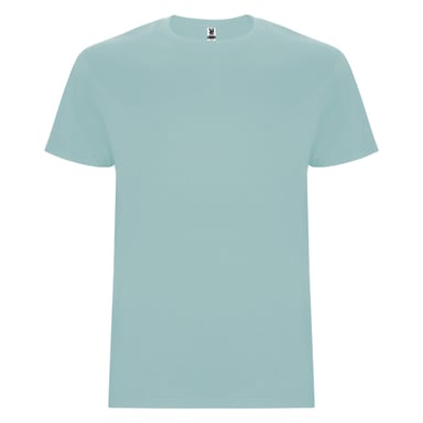 Roly Mens Stafford T-Shirt (Washed Blue)