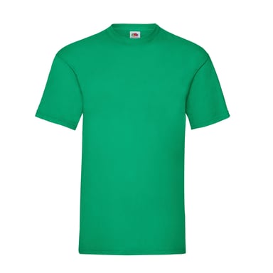 Fruit Of The Loom Mens Valueweight T-Shirt (Kelly Green)