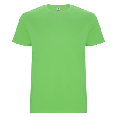 Roly Mens Stafford T-Shirt (Oasis Green)