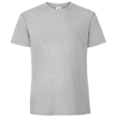 Fruit Of The Loom Mens Iconic 195 Premium Ringspun Cotton T-Shirt (Zinc)