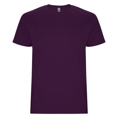 Roly Mens Stafford T-Shirt (Purple)