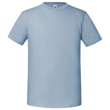 Fruit of the Loom Unisex Adult Iconic 195 T-Shirt (Mineral Blue)