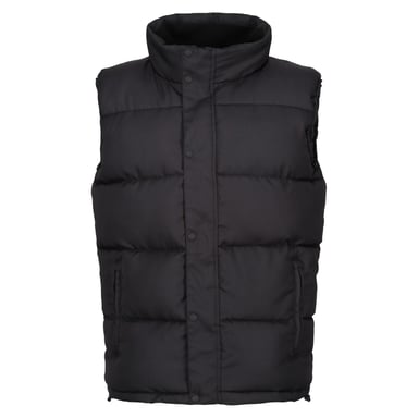 Regatta Mens Northdale Insulated Body Warmer (Black)