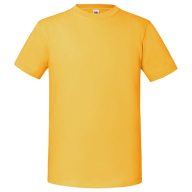 Fruit of the Loom Unisex Adult Iconic 195 T-Shirt (Sunflower)