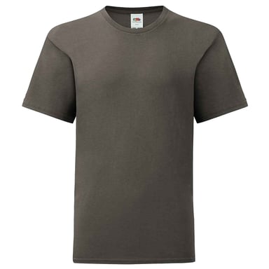Fruit of the Loom Childrens/Kids Iconic T-Shirt (Light Graphite)