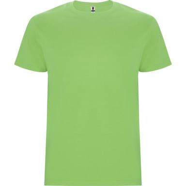 Roly Childrens/Kids Stafford T-Shirt (Oasis Green)