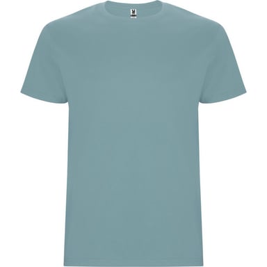 Roly Childrens/Kids Stafford T-Shirt (Dusty Blue)