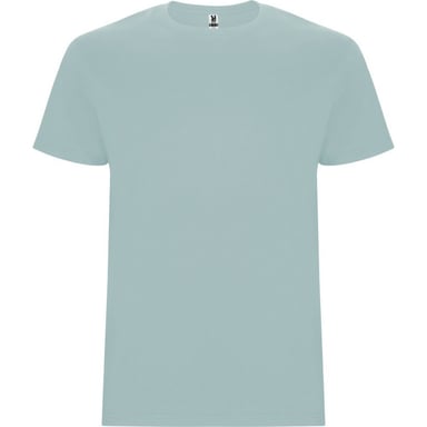 Roly Childrens/Kids Stafford T-Shirt (Washed Blue)