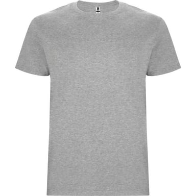 Roly Childrens/Kids Stafford T-Shirt (Heather Grey)